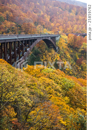 城ヶ倉大橋の紅葉 25859762