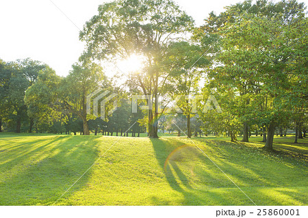 早朝の公園 25860001