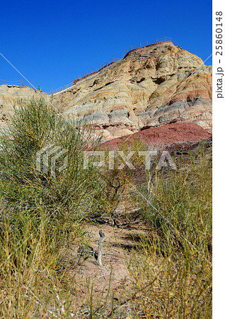 五彩城（新疆維吾爾自治区烏魯木齊市） 25860148