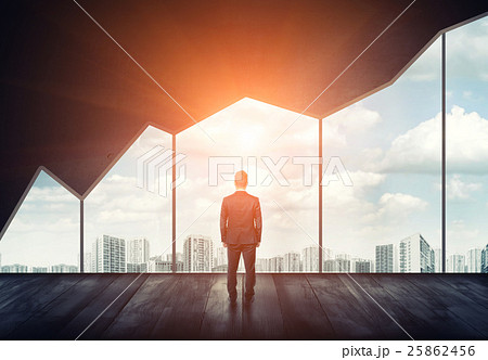 Businessman standing on the floor back to us 25862456