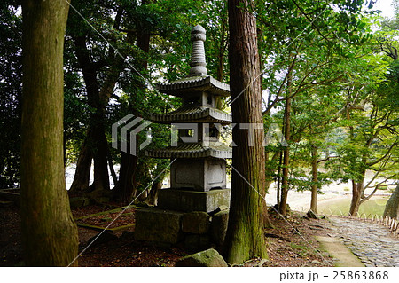 彦根城 玄宮園 彦根城 玄宮園 25863868