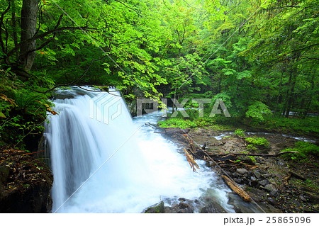 奥入瀬渓流 銚子大滝 奥入瀬渓流 銚子大滝 25865096