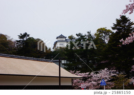 彦根城 25865150