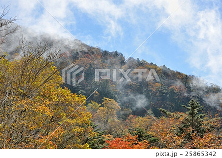 朝靄と紅葉の趣き 25865342