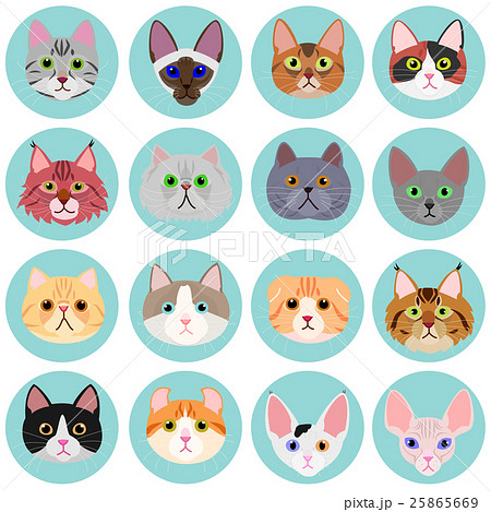 猫の顔のセット　サークルつき 25865669