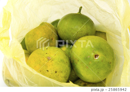 青切り温州みかん 25865942