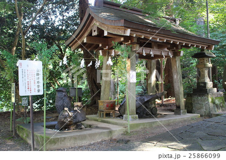 鷲子山上神社　フクロウ神社 25866099