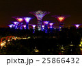 シンガポール garden by the bay 25866432