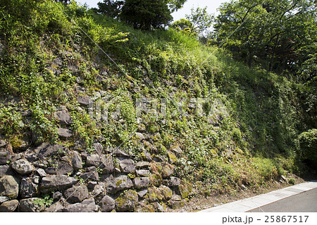 丸岡城の石垣 丸岡城の石垣 25867517
