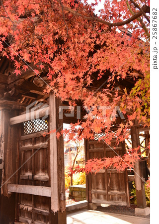 紅葉の西敬寺山門 紅葉の西敬寺山門 25867682