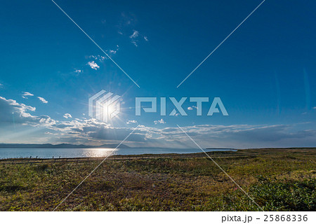 ワッカ原生花園 25868336