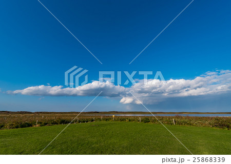 ワッカ原生花園 25868339