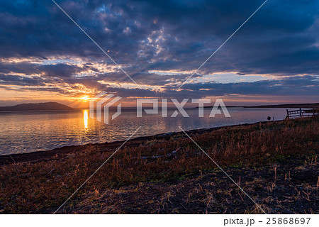 ワッカ原生花園 25868697