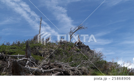 草津本白根山 白根火山ロープウェイ 草津本白根山 白根火山ロープウェイ 25868906