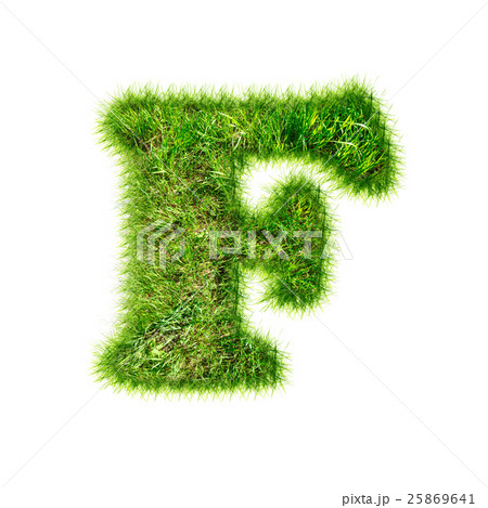 Capital latin letter of green grass Capital latin letter of green grass 25869641