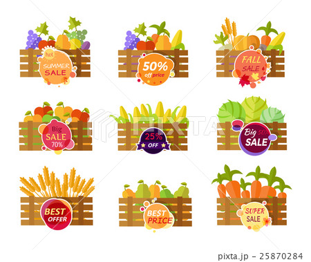 Set of Stickers Grocery Sale Fruits and Vegetables 25870284