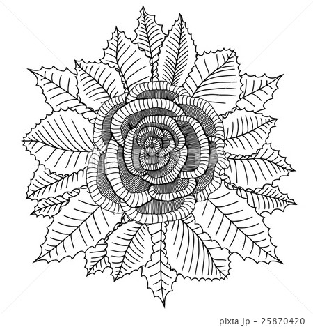 Hand drawn garden roses flower 25870420