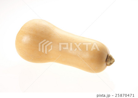 バターナッツ（カボチャ）新潟産 25870471