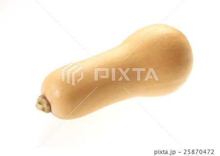 バターナッツ(カボチャ)新潟産 バターナッツ(カボチャ)新潟産 25870472