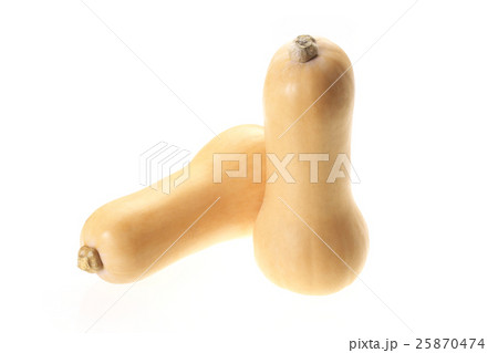 バターナッツ（カボチャ）新潟産 25870474