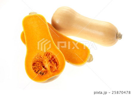 バターナッツ(カボチャ)新潟産 バターナッツ(カボチャ)新潟産 25870478