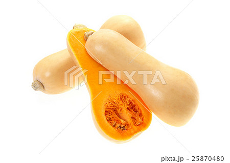 バターナッツ(カボチャ)新潟産 バターナッツ(カボチャ)新潟産 25870480