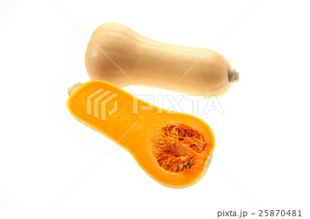 バターナッツ(カボチャ)新潟産 バターナッツ(カボチャ)新潟産 25870481