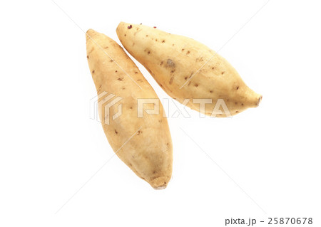 黄金芋（こがねいも）鹿児島県産 25870678