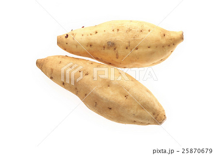 黄金芋（こがねいも）鹿児島県産 25870679