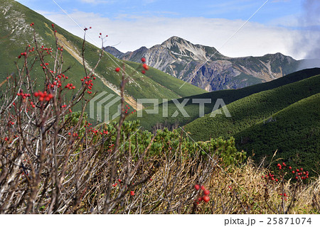 ナナカマドと鷲羽岳 ナナカマドと鷲羽岳 25871074