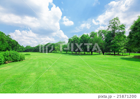 Wachirabenchathat Park 25871200