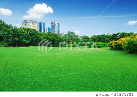 In city parks, lawns 25871203