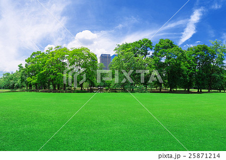 In city parks, lawns In city parks, lawns 25871214