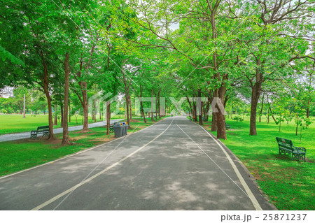 Road to the exercise at Chatuchak Park in Bangkok. 25871237