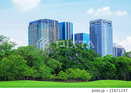 In city parks, lawns 25871247