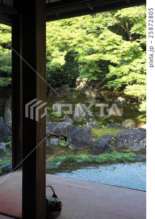 圓徳院　庭園 25872805