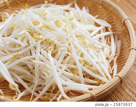 緑豆もやし 緑豆もやし 25873037