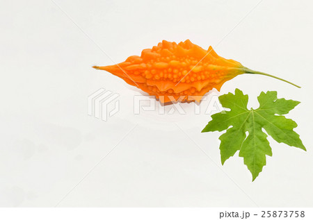 Abstract soft focus of the ripe of balsam apple, b 25873758