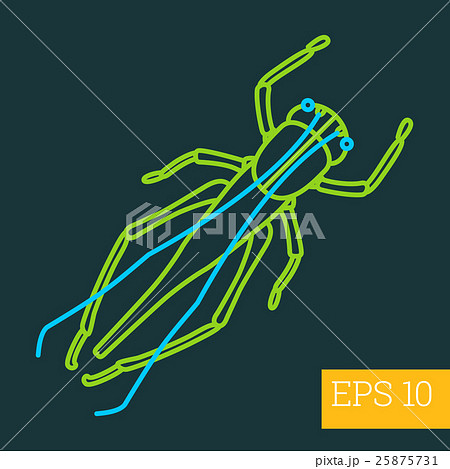 grasshopper insect outline vector grasshopper insect outline vector 25875731