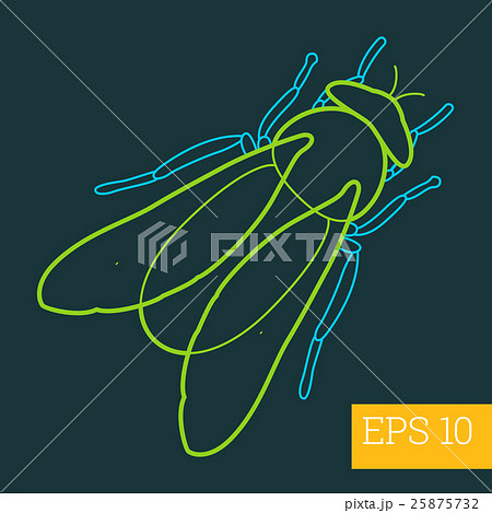 gadfly insect outline vector 25875732