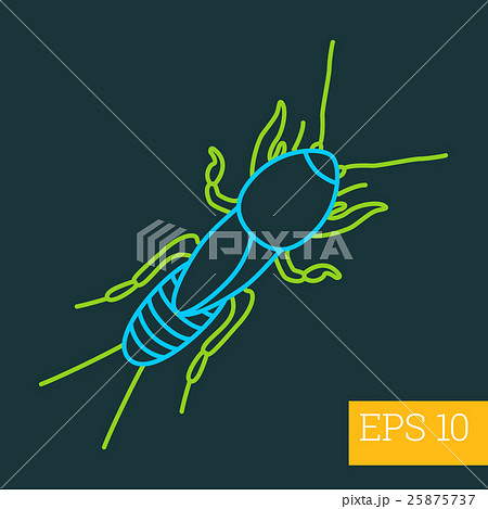 mole beetle insect outline vector 25875737
