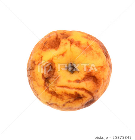 Old dry ribbed apple, yellow apple, rotted, natural texture. 25875845