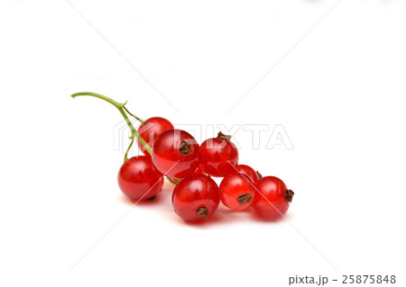 Red currant isolated on white, closeup berry. 25875848
