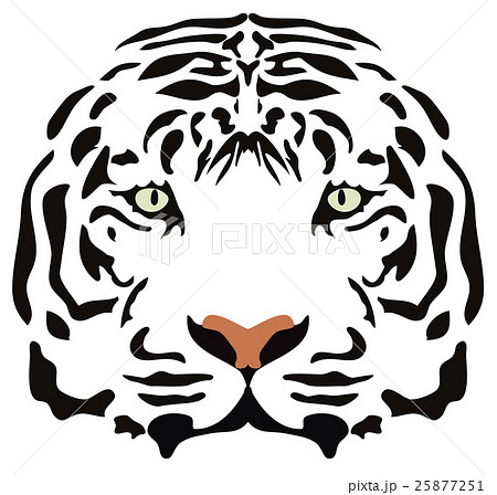 vector tiger head  25877251
