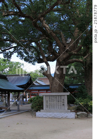 宇美八幡宮の湯蓋の森 宇美八幡宮の湯蓋の森 25878779