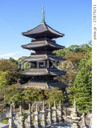 名古屋の都市風景・八事興正寺 名古屋の都市風景・八事興正寺 25879251