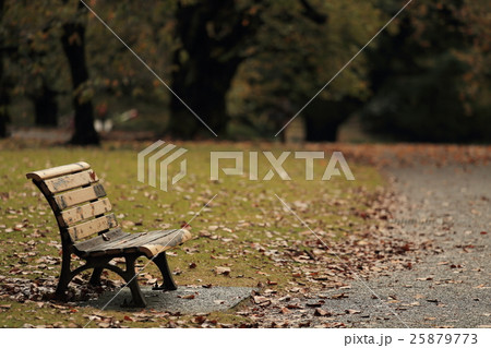 公園のベンチ 公園のベンチ 25879773