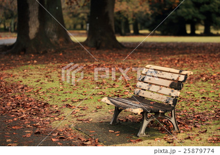 公園のベンチ 25879774