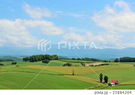 北海道 夏の美瑛からの自然風景 北海道 夏の美瑛からの自然風景 25884204