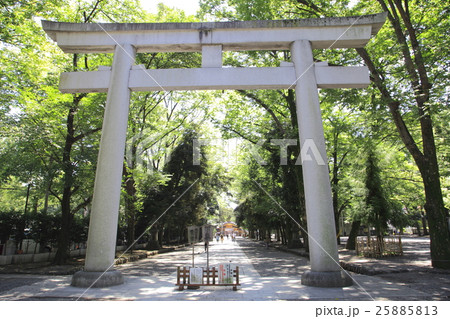 大國魂神社 府中市 大國魂神社 府中市 25885813